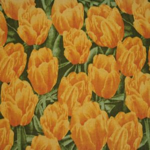 ŽL0009 Tulipány